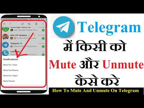 How To Mute And Unmute Someone On Telegram App | AdsMember