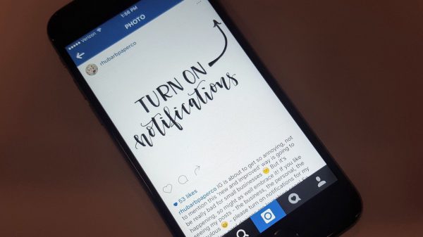 INSTAGRAM NOTIFICATIONS scaled | AdsMember