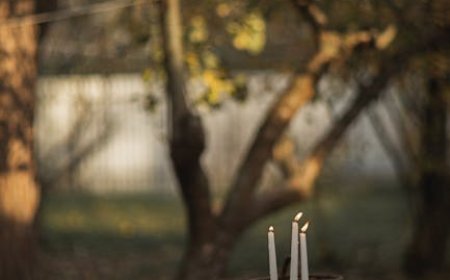 Why TikTok Bot Followers Are a Bad Idea