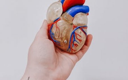 Unlocking Reactive Discord for Smarter Bots