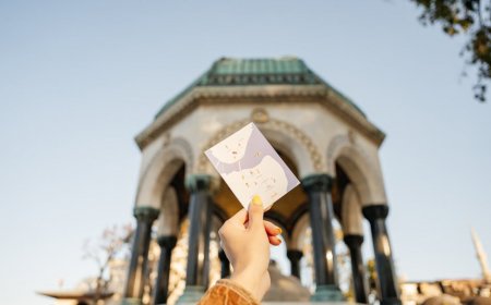 Discovering Reddit BBW Communities: Tips and Insights