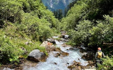 How to Stream MLB Games on Reddit Safely