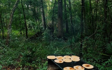 Diving into Reddit's South Park Community: Fan Secrets