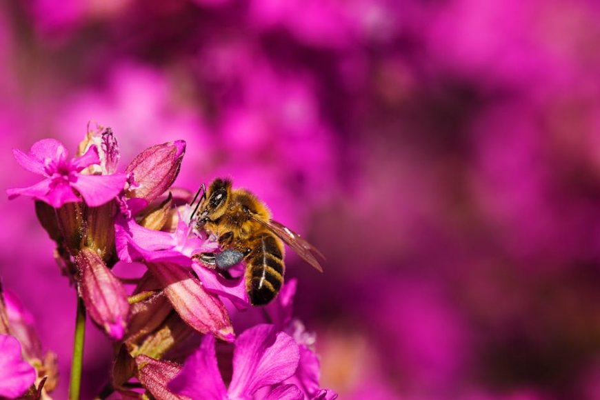 Unlocking the Secrets of Bumble Bee Wings