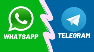 Frequently Asked Questions About Telegram Or WhatsApp?