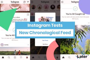 What Is The History Of Instagram Feed Feature?