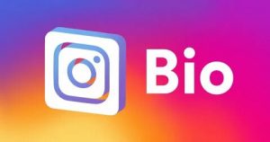 Powerful Instagram Bio Ideas, How to Write the Perfect Bio