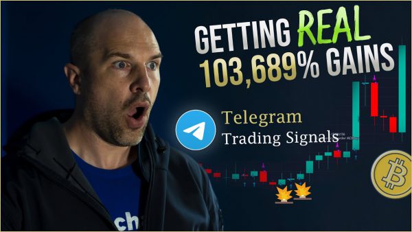 Best crypto trading signals on telegram adsmember scaled | AdsMember