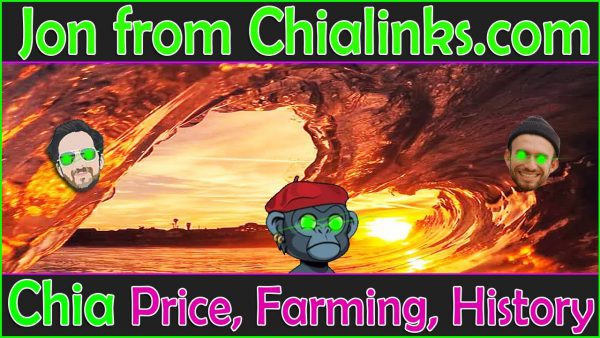 Chia Chat with Jon from Chia Links Chia Farming scaled | AdsMember