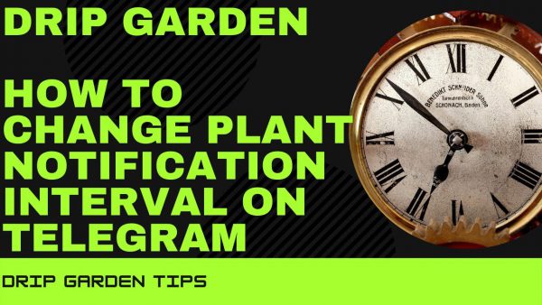 DRIP Garden Viewer Change Plant Notification Interval Via Telegram scaled | AdsMember