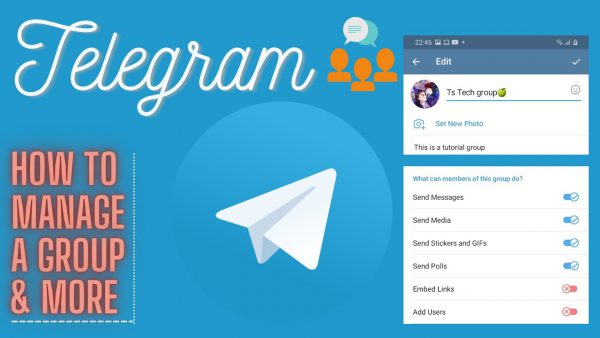 Everything you need to know about Telegram group as an scaled | AdsMember