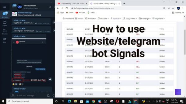 How to use Website and telegram bot Signals adsmember scaled | AdsMember