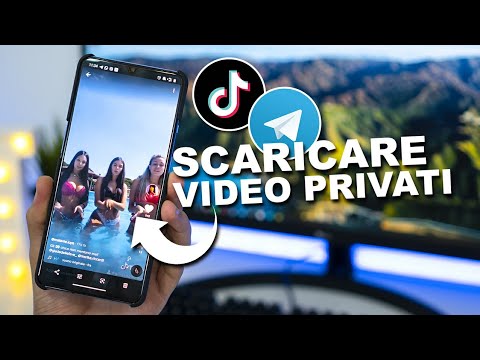 Scaricare VIDEO PRIVATI da TIKTOK con TELEGRAM Migliori Bot | AdsMember