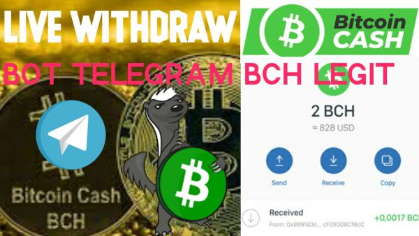Telegram Bot Bch New Legit PaymentProof Live Withdraw bch scaled | AdsMember