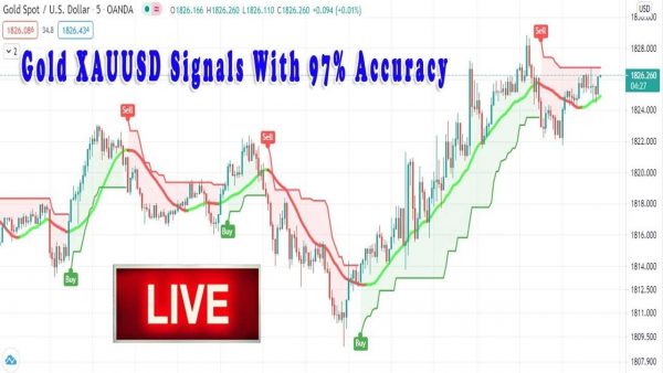 Gold Live Signals XAUUSD TIME FRAME 5 Minute M5 scaled | AdsMember