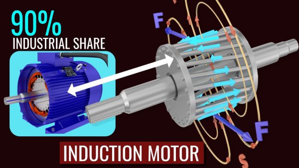 How does an Induction Motor work adsmember scaled | AdsMember