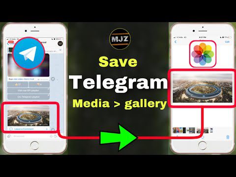 How to save Telegram Medias To Gallery android and iOS | AdsMember
