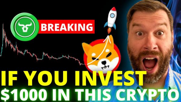 SHIBA INU 122 SURGE IF YOU INVEST 1000 INTO scaled | AdsMember