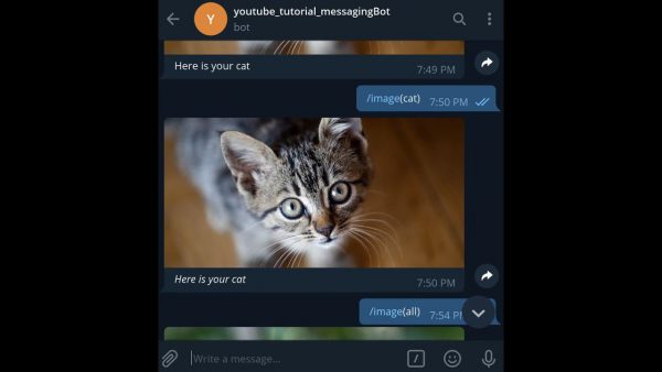 Sending Photos and Photo Album in a Telegram Bot with scaled | AdsMember